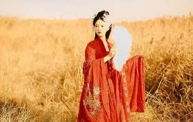 Sửa chữa bê tông tại Đồng Nai